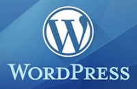 WordPress登录返回登录前浏览页面