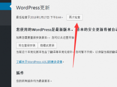 WordPress程序自动与手动升级新版本的操作过程