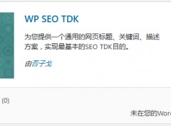 WordPress SEO标题/关键字/描述优化插件 – WP SEO TDK介绍与使用